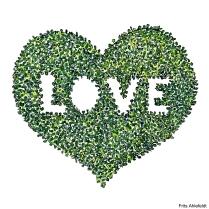 Green heart illustration