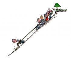 Drawing of a team connected by a rope, some dragging together one dragging in the other direction