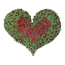 flower-heart-red-roses-love-illustration-by-frits-ahlefeldt