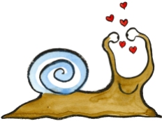 love yourself snail drawing, snail looking at itself - in love