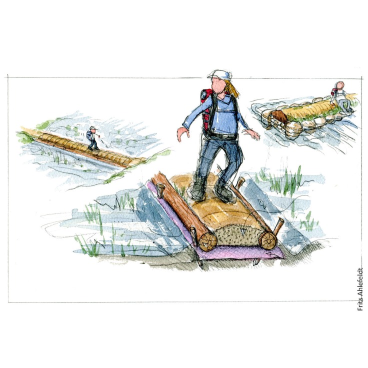 Illustration of a trail over wet area ( turnpike concept. Drawing by Frits Ahlefeldt. Hiking.org