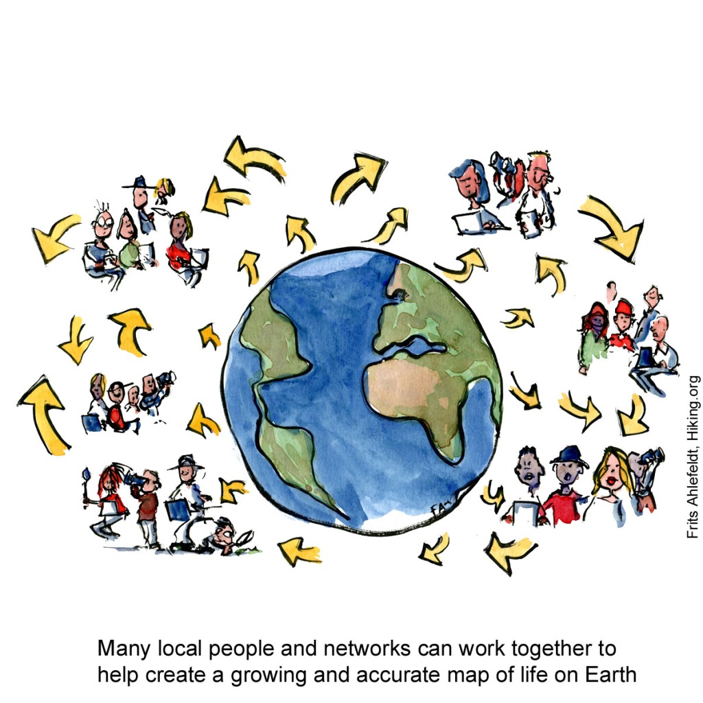 Drawing of planet Earth with people working in groups around it to innovate, collect and share understandings. Illustration by Frits Ahlefeldt